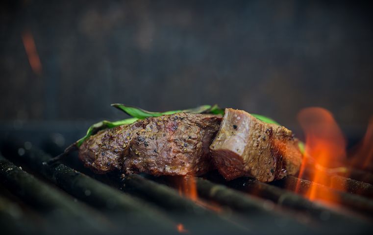 grill-meat-smoker